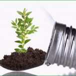 Bemerkenswert Eprimo Kündigen Für Strom Und Gasvertrag Gelten Gleichen