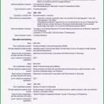 Bemerkenswert Europass Lebenslauf Vorlage