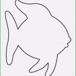 Bemerkenswert Fische Zeichnen Vorlagen Wunderbar Zentangle Vorlagen