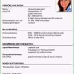 Bemerkenswert fortgeschritten Lebenslauf Schülerpraktikum Gymnasium