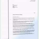 Bemerkenswert Frauen Anschreiben Vorlagen Bewerbung Erzieher Muster