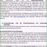 Bemerkenswert Führungszeugnis Zur Vorlage Bei Einer Behörde – Kostenlos