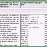 Bemerkenswert Gefährdungsbeurteilung Vorlage Pdf – Vorlagens Download