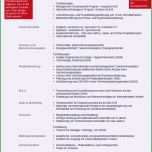 Bemerkenswert Genial Kündigung Vertrag Vorlage Word — Omnomgno