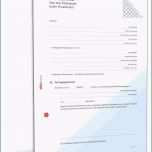 Bemerkenswert Handyvertrag Kundigen Vorlage Pdf Mechatroniker Bewerbung