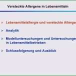 Bemerkenswert Kennzeichnung Allergene Vorlage
