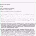 Bemerkenswert Kinderschutz Im Ehrenamt Leitfaden Für Vereine Und