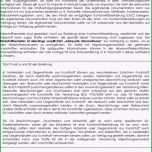 Bemerkenswert Konformitätserklärung Vorlage Pdf Einzeltestament Muster