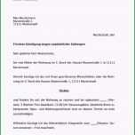 Bemerkenswert Kündigung Mietvertrag Vermieter Vorlage Kostenlos Pdf