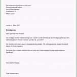 Bemerkenswert Kündigung Schreiben Arbeitsvertrag Einzigartiges
