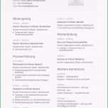 Bemerkenswert Lebenslauf Muster Für Ingenieur