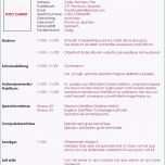 Bemerkenswert Lebenslauf Vorlage Ohne Bild Neu Lebenslauf Vorlage Cfo