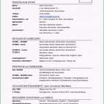 Bemerkenswert Lebenslauf Vorlagen Headhunter100