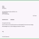 Bemerkenswert M Net Kundigung Vorlage Papacfo