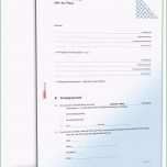 Bemerkenswert Mietvertrag Pferd Anwaltsgeprüftes Muster Zum Download