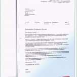 Bemerkenswert Neues Einspruch Gegen Bußgeldbescheid Muster