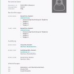 Bemerkenswert Professioneller Lebenslauf Tipps Zur Optimierung