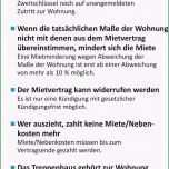 Bemerkenswert Putzplan Treppenhausreinigung Vorlage Reinigungsplan Küche