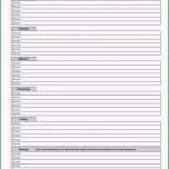 Bemerkenswert Rapportzettel Vorlage Excel – Gehen