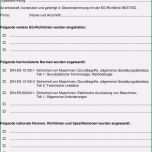 Bemerkenswert Rohs Konformitätserklärung Vorlage Einzigartig Großartig