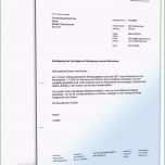 Bemerkenswert Stromanbieter Kndigen sonderkndigungsrecht Vorlage Genial