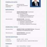 Bemerkenswert Tabellarischer Lebenslauf Uni Vorlage Einzigartig