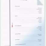 Bemerkenswert Tagesmuttervertrag