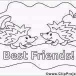 Bemerkenswert Vorlage Ausmalbilder Igel