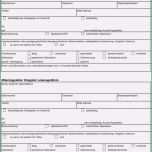 Bemerkenswert Vorlage Eidesstattliche Versicherung Best