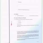 Bemerkenswert Wann Kann Man Seine Kfz Versicherung Kündigen Einfach