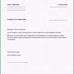 Bemerkenswert Wohnungskündigung Vorlage Pdf