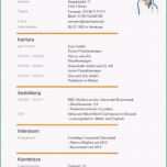 Beste 10 Lebenslauf Für Studium Vorlage