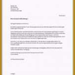 Beste 11 Bewerbungsschreiben Verkäuferin Muster