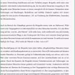 Beste 11 Biografiearbeit Muster