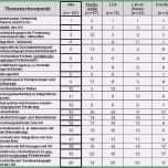 Beste 11 Fragebogen Vorlage Excel