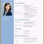 Beste 12 Professioneller Lebenslauf Vorlage Kostenlos