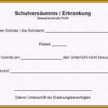 Beste 13 Entschuldigung Vorlage Zum Ausdrucken