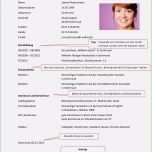 Beste 14 Platzierung Tabellarischer Lebenslauf Schüler Vorlage