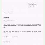 Beste 15 Kündigungsschreiben Vorlage Arbeit