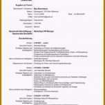 Beste 15 Muster Englischer Lebenslauf