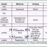 Beste 15 Trainingsplan Pferd Vorlage