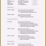 Beste 16 Lebenslauf 2015 Vorlage