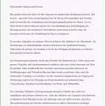 Beste 17 Anschreiben Bewerbung Xing