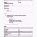 Beste 17 Arbeitsanweisung Muster Kostenlos