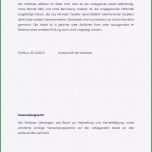 Beste 18 Eidesstattliche Versicherung Muster