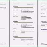 Beste 19 Lebenslauf Vorlage Openoffice