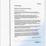 Beste 19 Stellenbeschreibung Muster Kostenlos Word