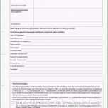 Beste 20 Kündigung Gas Vorlage