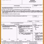 Beste 20 Proforma Rechnung Vorlage