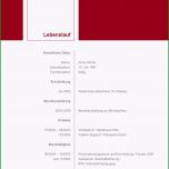 Beste 21 Motivationsschreiben Bewerbung Vorlagen